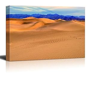 signwin Canvas Wall Art Desert Canvas Prints Home...