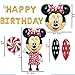 Minnie Mouse Birthday Party Supplies and Red Polka Dot 18 pc Balloon Decorations