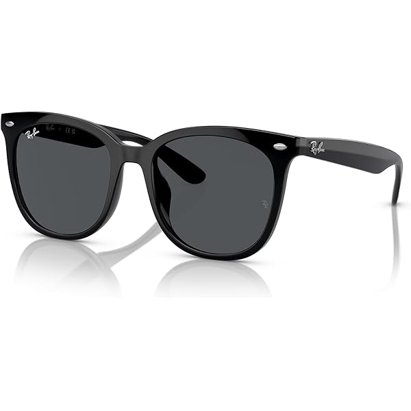 Amazon.com: Ray-Ban RB4428F 601S48 56MM Black/Black Polarized