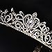 Sppry Gorgeous Baroque Rhinestone Tiara Crown for Bridal Princess Women at Wedding Birthday Pageant (Gold)