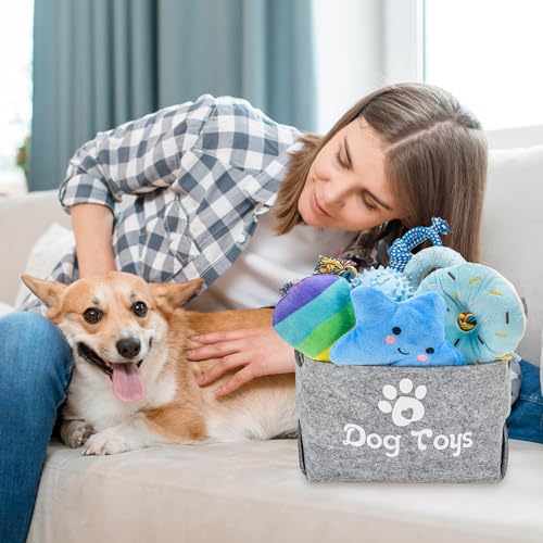 Ousiya 12 Pcs Puppy Teething Toys Set, Small Breed Chew Toys with Storage Case, Suitable for 8 Weeks Puppies