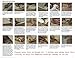 Instabind - DIY Carpet Binding - Turn Carpet Scraps into Area Rugs - Sold in 5 ft Incriments (Black)