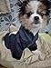 DroolingDog Dog Hoodie Dog Sweatshirt Puppy Clothes for Small Dogs Boy, Large, Blue