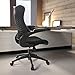 Furmax Mid Back Office Chair Mesh Desk Computer Chair with Flip Arms Swivel Task Chair with Ergonomic Headrest and Lumbar Support (Black)