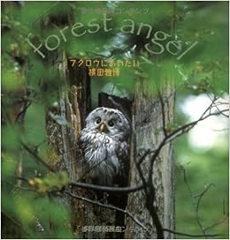 フクロウにあいたい (Seiseisha minibook) (日本語) 文庫 – 2004/11/1の表紙