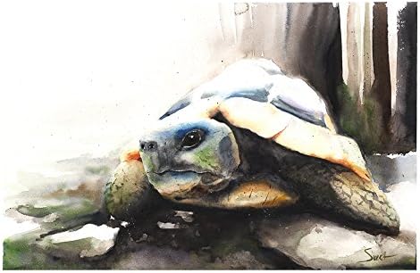 Tortoise Turtle Original Watercolor Painting