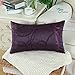 CaliTime Throw Pillow Covers Pack of 2 Modern Shining & Dull Contrast Circles Rings Accent Geometric Cushion Cases Shells for Couch Sofa Home Decor 12 X 20 Inches Deep Purple