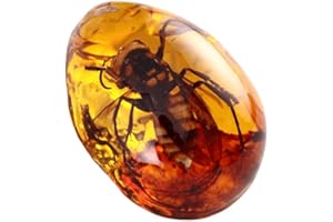BETENSH Amber Fossils and Insect Samples Stone Family Decoration Crystal Specimen Pendant for Collection,Science Education (9)