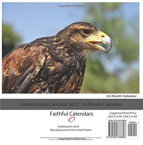 Golden Eagle Calendar 2017 16 Month Calendar David Mann