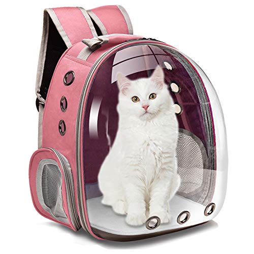 medium dog backpack carrier