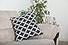 TreeWool Trellis Accent Spring Summer 18x18 Set of 2 Decorative Throw Pillow Covers 100% Cotton Home Decor Pillowcases for Sofa Couch (Black)