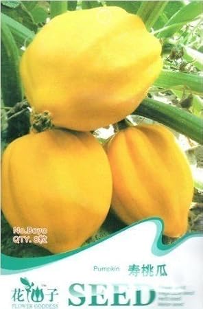Kostenloser Versand 3 Packs 24 von Pfirsich Melone Kürbis ...