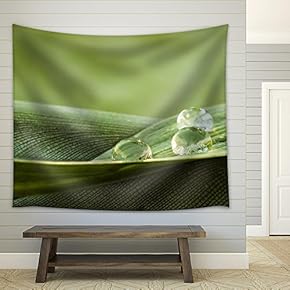 Green Plant Leaf with Drops - Fabric Wall Tapestry Home Decor - 51x60 inches
