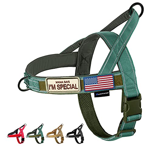 Annchwool No Pull Dog Harness