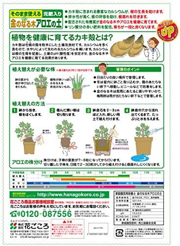 Amazon 花ごころ 金のなる木 アロエの土 12l 用土