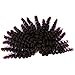 Wand Curl Spiral Curl African Collection Crochet Braids Twist Hair Extension Bounce Synthetic Tapered Cut (1b 30)