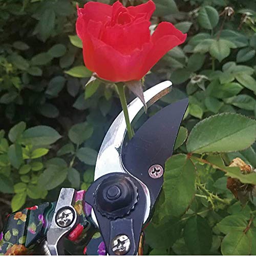 3 Piece Garden Hand Tool set, Gardening Kit Includes Trowel, Pruning Shear, Hand Fork for Garden Gifts (Garden Tool Set - Black)