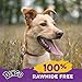 Dingo Porkie Rolls 15 Count, Pork Hide Chews for Dogs, Made with Real Chicken