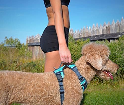 Black Rhino The Comfort Dog Harness with Mesh Padded Vest for