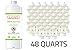 Ignis Bio Ethanol Fireplace Fuel - 48 Pack (48 1-Quart Bottles)