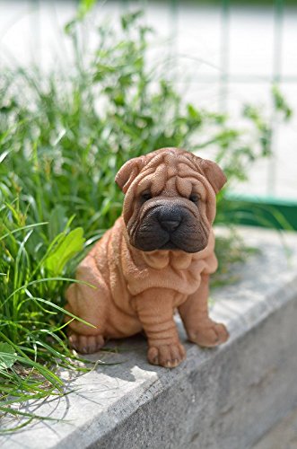 625 Home Hi Line Gift Ltd Sitting Shar Pei Puppy Alemdad Ly