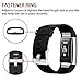 POY Replacement Bands Compatible for Fitbit Charge 2, Classic & Special Edition Adjustable Sport Wristbands