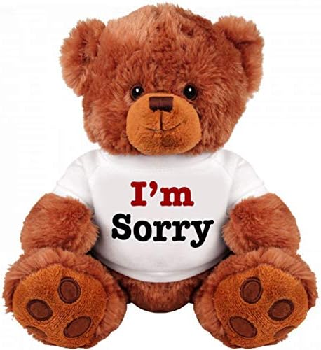 I Am Sorry Teddy Bear - Cute and Cuddly 