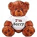 I Am Sorry Cuddly Teddy Bear Couple Gift : Romantic Medium Stuffed Animal
