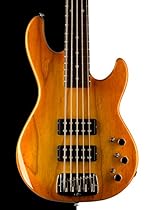 G&L USA L-2500 5 String Electric Bass, Honeyburst, Rosewood
