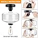 Industrial Semi-Flush Mount Ceiling Light, Clear Glass Pendant Lamp Shades, Farmhouse Lighting for Porch Hallway Kitchen Island Corridor Bedroom Bar, Vintage Hanging Light Fixtures, Bulb Not Included