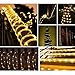Aluvee Solar Rope String Light Outdoor,Garden Decoration Outdoor Waterproof Rope String Christmas Lamp Wedding Party Tree Xmas Decoration Tree Xmas (33ft/100LED,Warm White + PVC Tube)