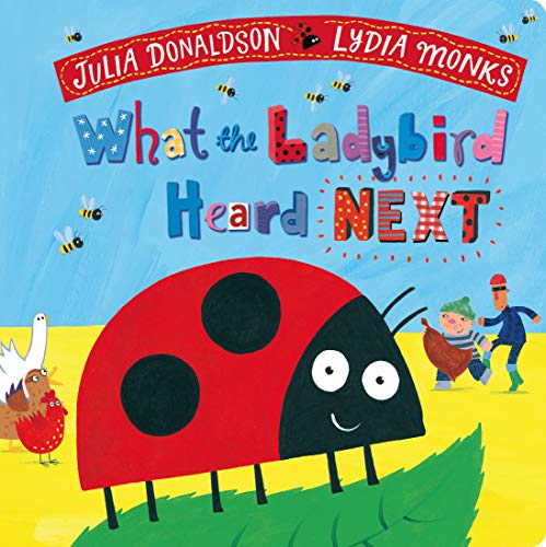 Macmillan Children's Books What the Ladybird Heard Next