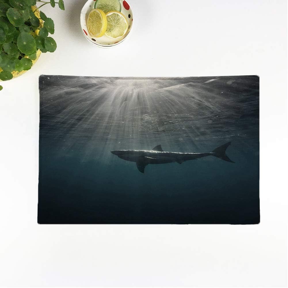rouihot Set of 8 Placemats Great White Shark in Blue Ocean Underwater Photography Predator Non-Slip Doily Place Mat for Dining Kitchen Table