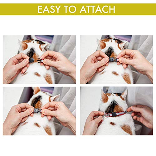 Leather Cat Collar Reflective, Set of 3, Plus Lucky Charm Pendant, Breakaway with Bell, Solid & Safe Collars for Cats, Nylon, Kitty Collars, Pet Collar, Free Replacement