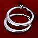 Elegant Fashion Jewelry 925 Silver Plated Stud Dangle Earings Eardrop Three-Diamentional Hoop