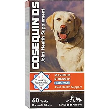 Cosequin DS Plus MSM