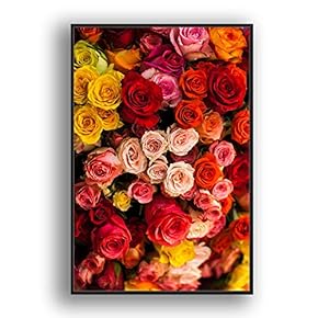 Framed Canvas Wall Art for Living Room, Bedroom Rose Closeup VII Canvas Prints for Home Decoration Ready to Hang - 16x24 inches