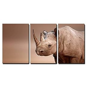 3 Piece Canvas Wall Art - Black Rhinoceros Portrait Diceros Bicornis - Salt Pans of Etosha National Park Namibia - Modern Home Art Stretched and Framed Ready to Hang - 16"x24"x3 Panels