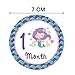 Mermaid Monthly Baby Stickers, Girls Bodysuit Stickers Infant Month Stickers, Great Shower Excellent Baby Photo Props, 12 Pieces