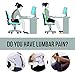 Memory Foam Lumbar Cushion - Back Cushion Lumbar Support Pillow for Office, Car and Chair