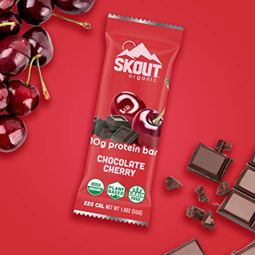 SKOUT Organic Protein Bars - Chocolate Cherry - Vegan Snacks - Plant Based Protein - Non-GMO - Gluten Free, Dairy Free, Soy Free - No Refined Sugar - 1.9 oz (4 Count)