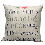 BOKOLI Sofa Bed Home Decor Festival Funny Quotes Throw Pillow Case Cushion Cover (I LOVE YOU)