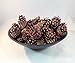 50pc Canadian Lodge Pole Decorative 1.5