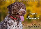 Lagotto Romagnolo - Italienischer Trüffelhund (Tischkalender 2020 DIN A5 quer): Die Trüffelsuchhun by 