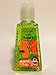 Rome Pocketbac - Green Lime Scent - Discontinued! "Jet, Set, Go!" Collection -- Bath & Body Works Antibacterial Hand Sanitizer Gel