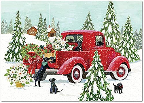 Punch Studio Red Truck Boxed Christmas Cards Set of 12 (50400), Multicolor