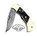 Buffalo Horn 5.5'' Custom Handmade Damascus Steel Double Brass Bloster with Sharpening Rod Folding Pocket Knife Back Lock 100% Prime Quality Come with Leather Sheath