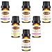 Set of 6 Essential Oils, Oak Leaf 100% Pure Therapeutic Grade Aromatherapy Scented Oil (Lavender, Peppermint, Tea Tree, Lemongrass, Eucalyptus and Blend), 10mL/bottle