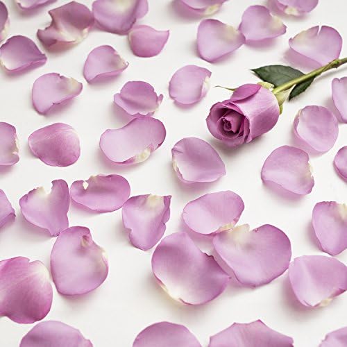 Farm Fresh Natural Lavender Rose Petals - 3000 petals