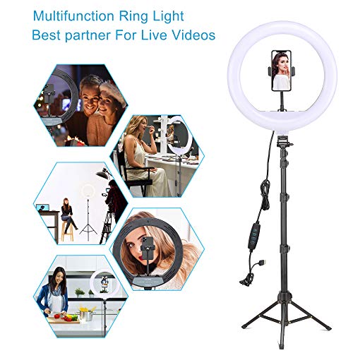 Dimmable Ring Light 12-Inch Led Beauty Photography Fill Light with Foldable Tripod Stand Cellphone Holder for Camera Phone YouTube Live Streaming Self-Portrait Selfie Video Studio Shooting